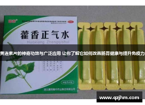 黄连素片的神奇功效与广泛应用 让你了解它如何改善肠胃健康与提升免疫力